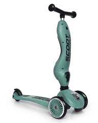 Scott & Ride Monopattino e Triciclo 2 in 1 , da 1 a 5 anni